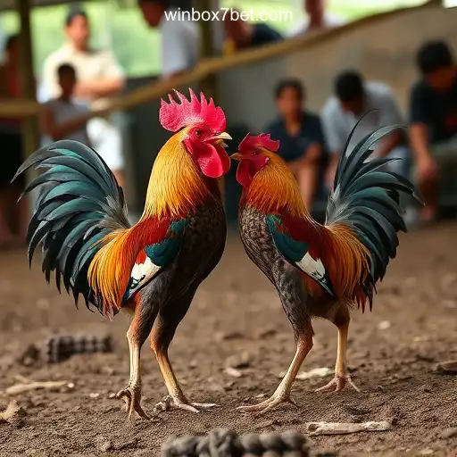 VIP Service winbox7 - Melhor plataforma de jogos PG Slots 777💸 - 24/7 Support and Exclusive Benefits