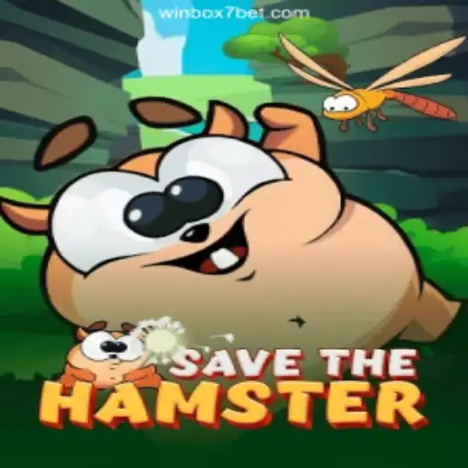 SavetheHamster: A Deep Dive into an Engaging Puzzle Adventure